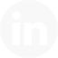 Linkedin icon
